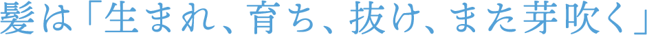 髪は「生まれ、育ち、抜け、また芽吹く」 